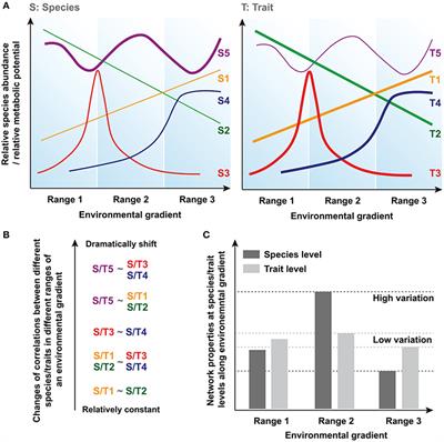 Conservation of Species- and Trait-Based Modeling Network Interactions in Extremely Acidic Microbial Community Assembly